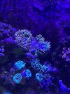 24BA4504-DC50-4694-AEA4-1BFD97EAB7BD.jpeg