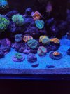 20210628_175326.jpg