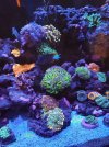 20210628_175334.jpg