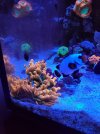 20210628_175441.jpg