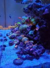 20210628_175558.jpg