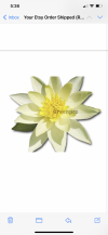 FD6DB02A-D6C5-4FDD-B361-306837AAA291.png
