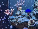 IMG_1189.jpg