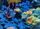 IMG_1199.jpg