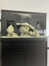 IMG_0238.jpeg