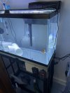 IMG_0239.jpeg