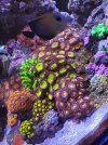 20210806_144049.jpg