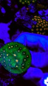 BEAB393B-DF59-461E-95D6-363D35BBDC91.jpeg
