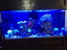 IMG_20210811_141945916.jpg