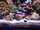 20210827_132911.jpg