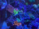 31757F2D-8819-4BE9-A80A-F2E2D18EC405.jpeg