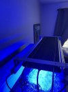 IMG_0443.jpeg