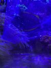 46ACC2BB-B568-4F19-94FD-BD94B06B40BC.jpeg