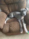 IMG_0440.jpeg