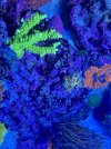 1AEAC6FC-748C-4CE3-A801-409788D132B9.jpeg