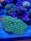 D056D10B-2256-4D83-86C4-670DB9F1DE71.jpeg