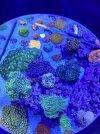 C6D27978-D44A-44E1-87B3-B3F10103DF9A.jpeg