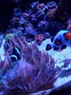 20210926_130632.jpg