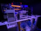 C837D173-DE0B-4935-BD31-A1DB2C419CA8.jpeg