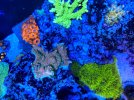 712CE2AA-4D74-4C4D-8D7C-A54E812A6211.jpeg
