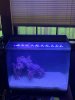 tank1.jpg tank1.jpg