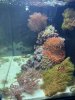 7F657518-9981-40BA-8773-58F24AAA6248.jpeg
