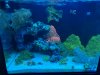 38853FF6-8B15-4F02-9535-1ECBBB436106.jpeg