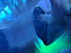 IMG_20190418_185756.jpg