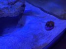 B0EF4CCD-A9DD-4FE5-BB86-C599EDCB72BC.jpeg