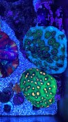 374B13C5-D883-4A57-B19F-2DDB455BFAB8.jpeg