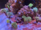 4CD31462-A8D3-4C48-A826-BBBA7DEA9DF4.jpeg