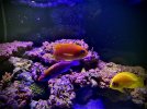 7D3D2309-5D19-4892-A68E-28EDA860F1FA.jpeg