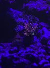148006B4-DC71-4B19-86C0-77B445C7A41C.jpeg
