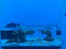 2EE119BF-169E-4806-A118-E41F7909E2C7.jpeg