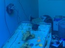 A0D69AEE-0480-408A-8563-ABBDD96C33B1.jpeg