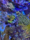 86B6C7BD-4173-41A7-960A-37BEFAA290F5.jpeg