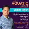 Sumer Tiwari Expo.png