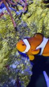 IMG_20220405_104112478.jpg