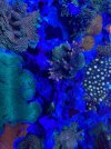 1502C77D-A263-44D2-B087-00D10669AADB.jpeg