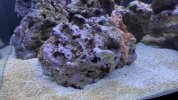 2D88E962-BB21-40AA-AD55-F0376A496978.jpeg