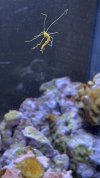 B441C977-A517-4E9C-9547-9FEB1C5F51D5.jpeg