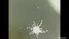 190519_195100.jpg