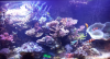 1558450026588.png