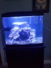 20220723_180637.jpg
