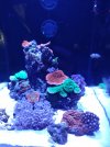 IMG_20220731_131842439.jpg