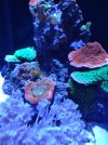 IMG_20220731_131900085.jpg
