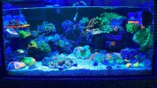 038C3D5D-2617-41FF-86AE-DD4B708C6A14.jpeg
