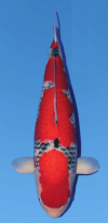 6.png