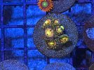 IMG_3745.JPG