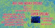 weekly special 11-11.png